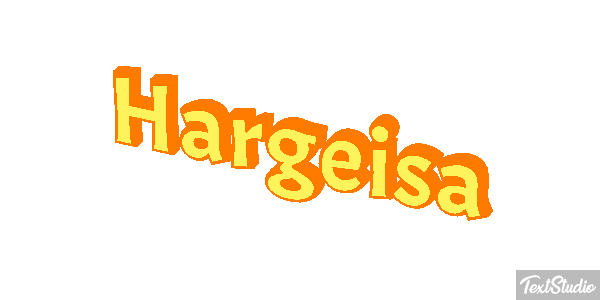 Hargeisa Efekt tekstowy