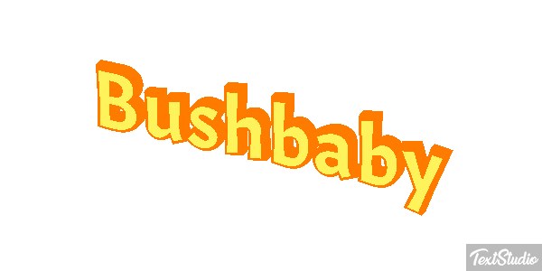 Bushbaby Texteffekt