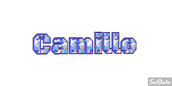 Camillo Effetto testo