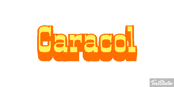 Caracol Effet de texte