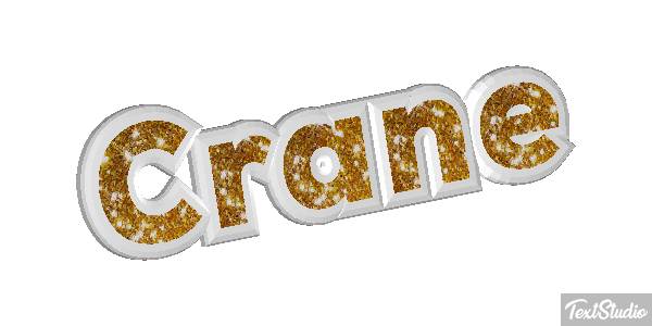 Crane Text effect