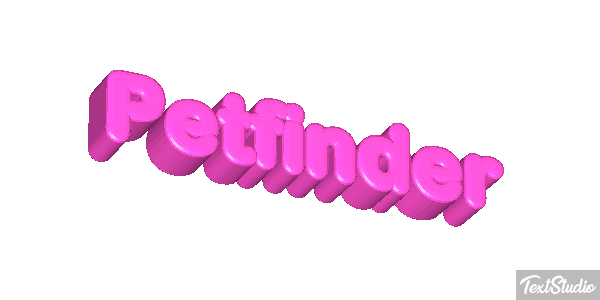 Petfinder Efeito do texto