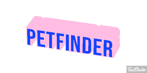 Petfinder Efeito do texto