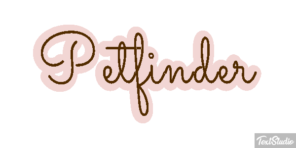 Petfinder Efeito do texto