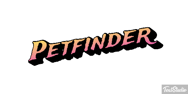 Petfinder Efeito do texto