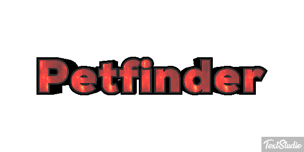 Petfinder Efeito do texto