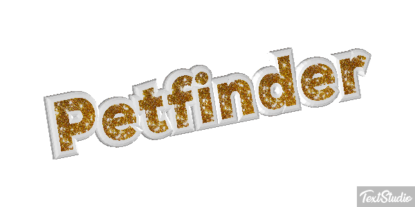 Petfinder Efeito do texto
