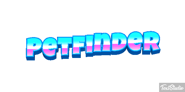 Petfinder Efeito do texto