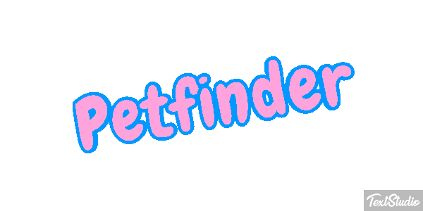 Petfinder Efeito do texto