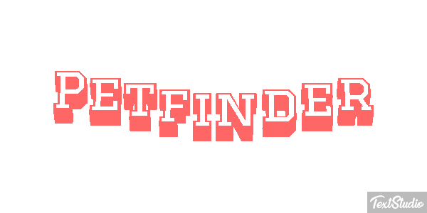 Petfinder Efeito do texto