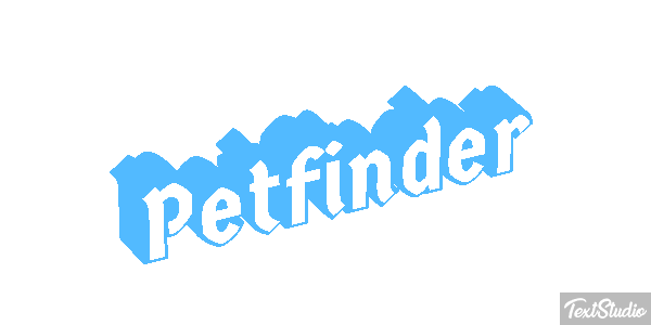 Petfinder Efeito do texto
