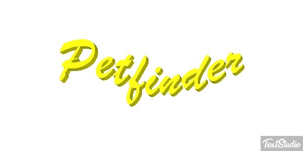 Petfinder Efeito do texto