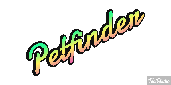 Petfinder Efeito do texto
