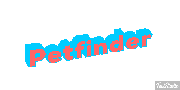 Petfinder Efeito do texto