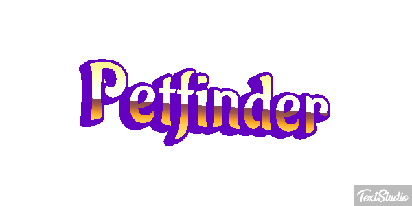 Petfinder Efeito do texto