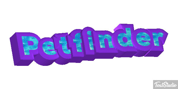 Petfinder Efeito do texto