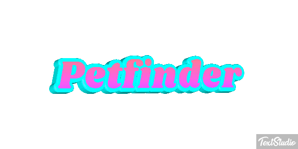 Petfinder Efeito do texto