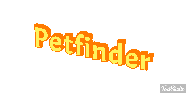 Petfinder Efeito do texto