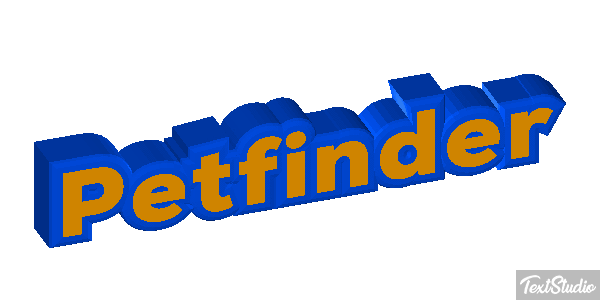 Petfinder Efeito do texto