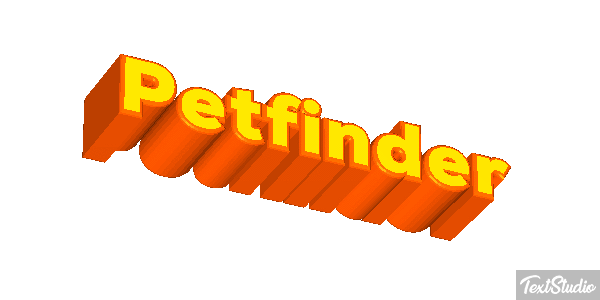 Petfinder Efeito do texto