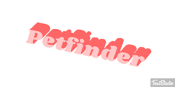 Petfinder Efeito do texto