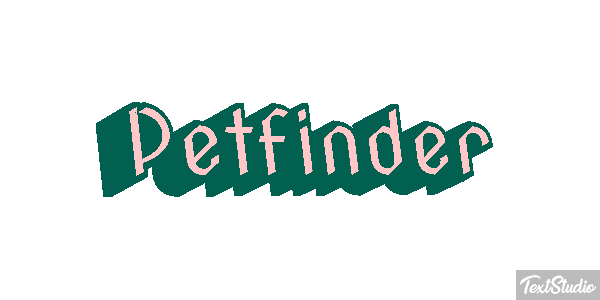 Petfinder Efeito do texto