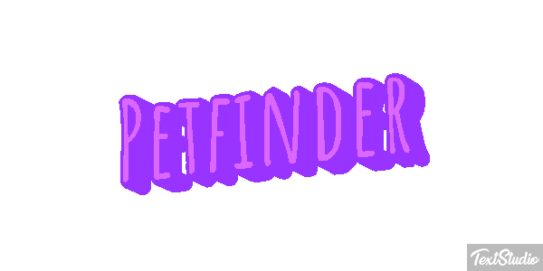 Petfinder Efeito do texto