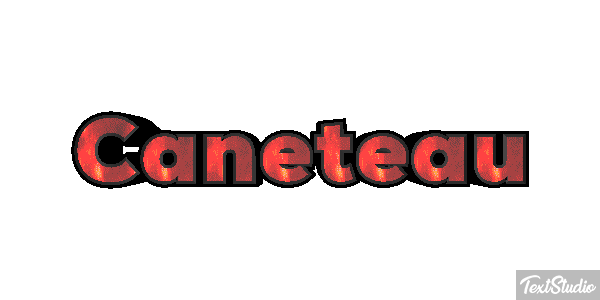 Caneteau Effet de texte