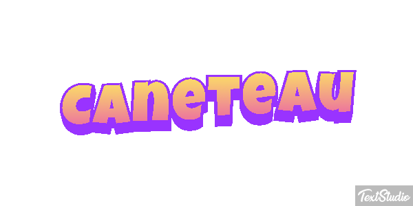 Caneteau Effet de texte