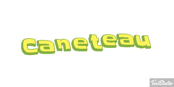 Caneteau Effet de texte