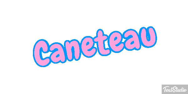Caneteau Effet de texte