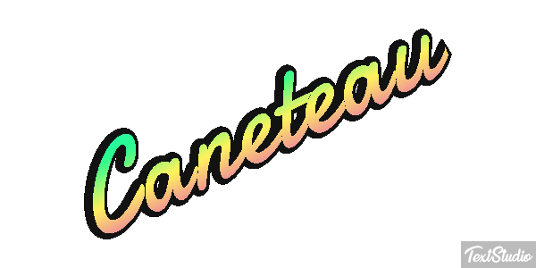 Caneteau Effet de texte