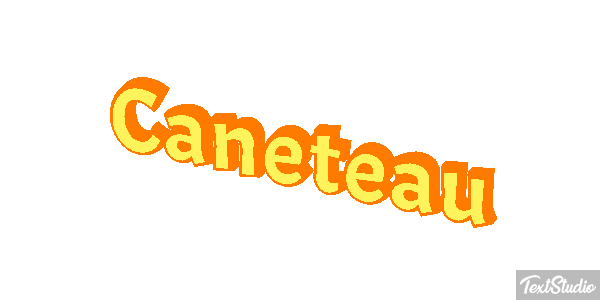 Caneteau Effet de texte