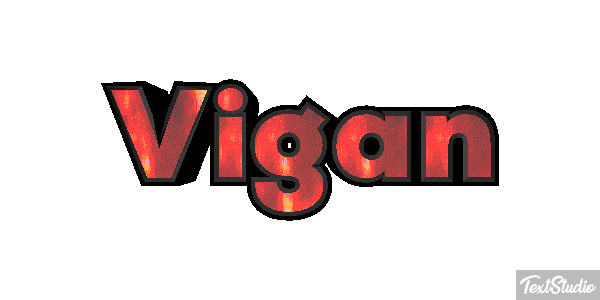 Vigan Efecto de texto