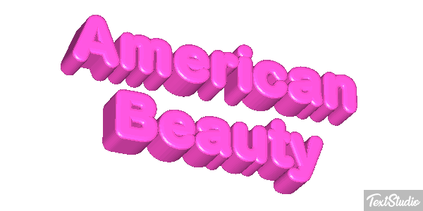 American Beauty Tekst effect