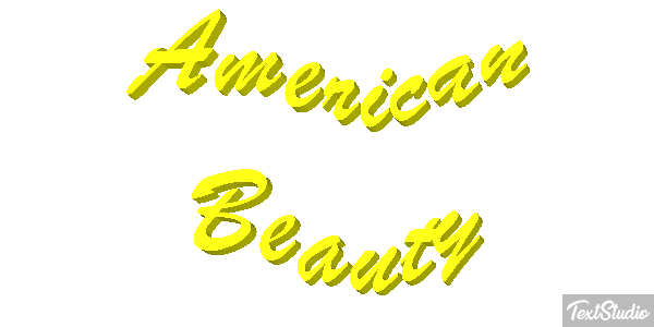 American Beauty Tekst effect