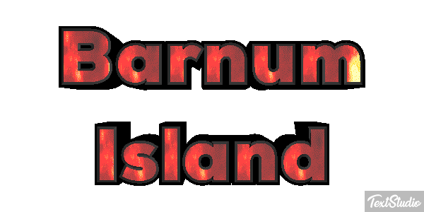 Barnum Island Efekt tekstowy