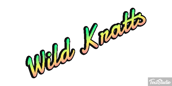 Wild Kratts Текстовый эффект