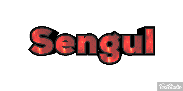 Şengül Efekt tekstowy