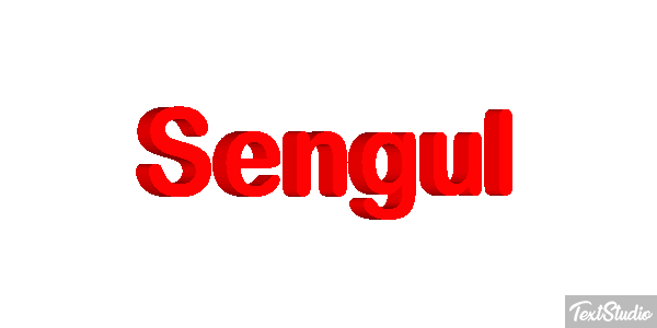 Şengül Efekt tekstowy