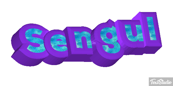 Şengül Efekt tekstowy