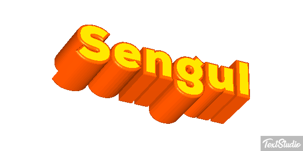 Şengül Efekt tekstowy