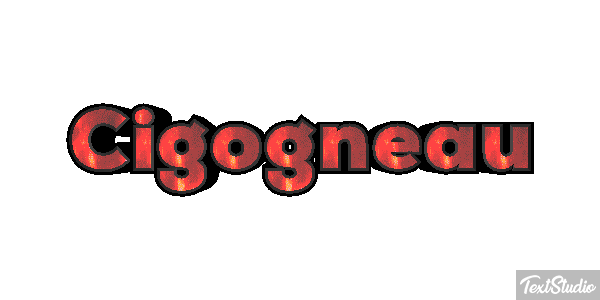 Cigogneau Effet de texte