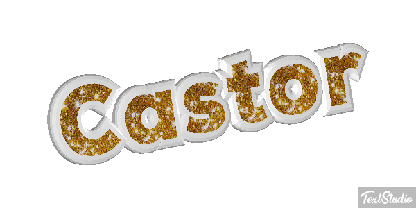 Castor Text effect