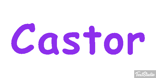 Castor Text effect