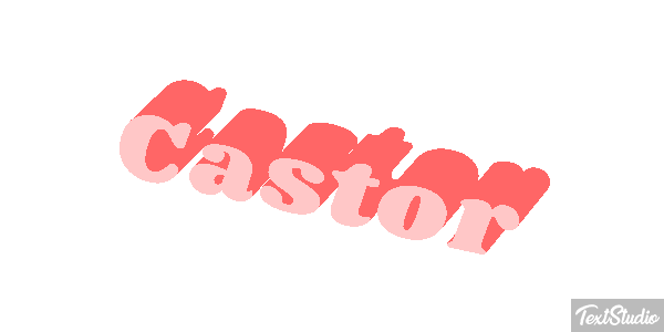 Castor Text effect