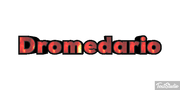 Dromedario Effetto testo