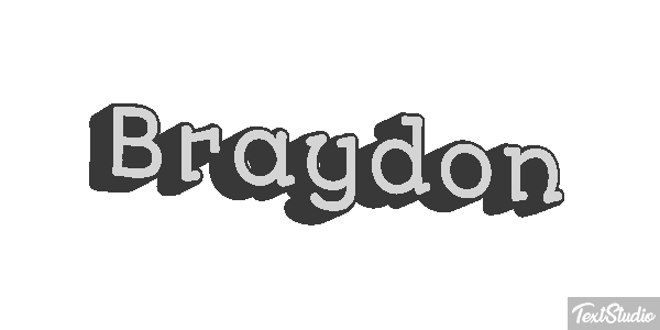 Braydon テキスト効果