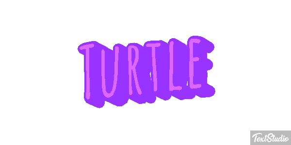 Turtle Efekt tekstowy
