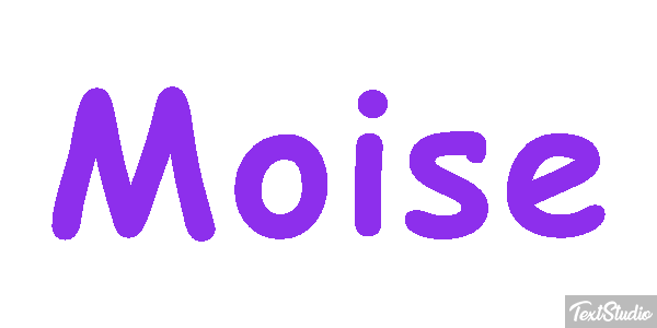 Moïse Текстовый эффект